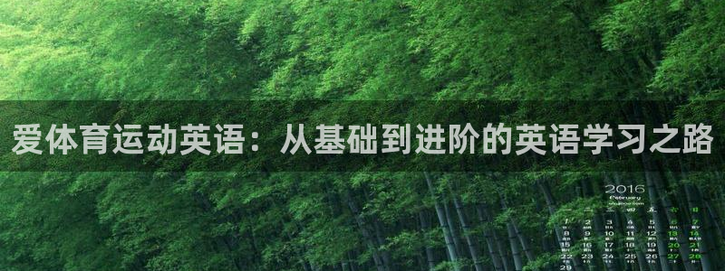 利记官方正版app集团logo:爱体育运动英语:从基础到进阶