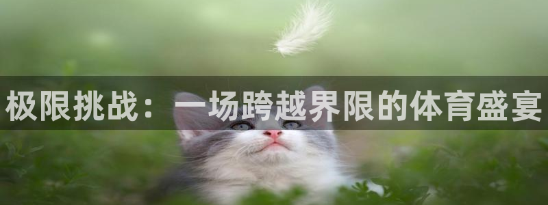 利记官网下载平台是正规平台吗知乎:极限挑战:一场跨越界限的体